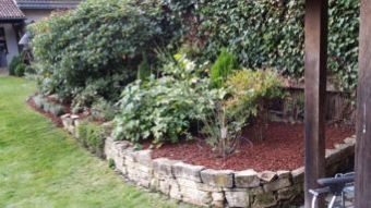 Bepflanzung abgedeckt mit Mulch