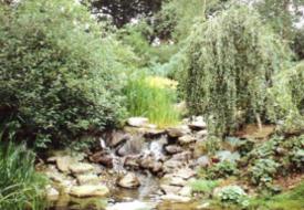 Wasserfall Stein